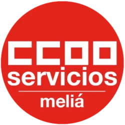 CCOO Meliá Favicon 250