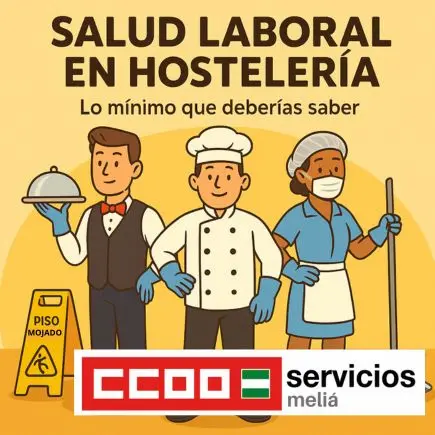 Salud Laboral CCOO Meliá